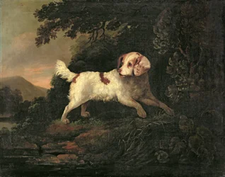 Studie eines Clumber Spaniels in einer bewaldeten Flusslandschaft